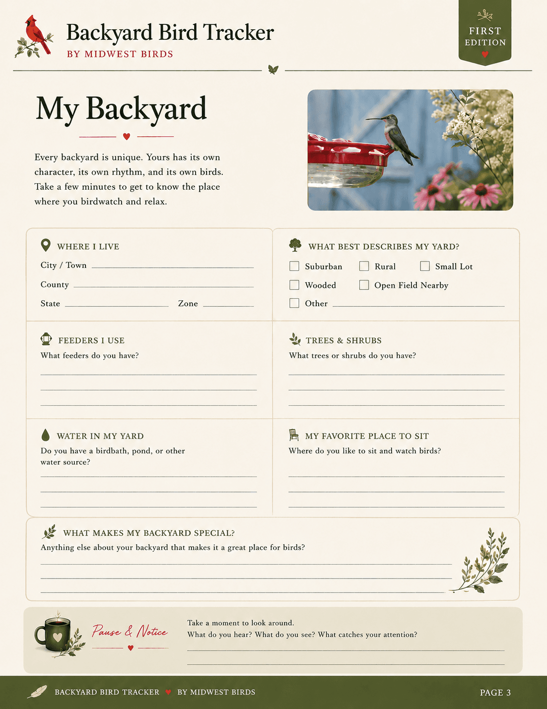 My Backyard page